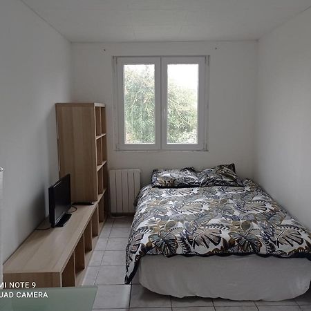 Studio Efficace, Calme Et Comfortable Apartment Albi Bagian luar foto